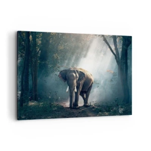 Cuadro sobre lienzo - Impresión de Imagen - Elefante en la luz del bosque - 100x70cm - Un paseo tranquilo - Decoración de pared moderna para salón y dormitorio ARTTOR