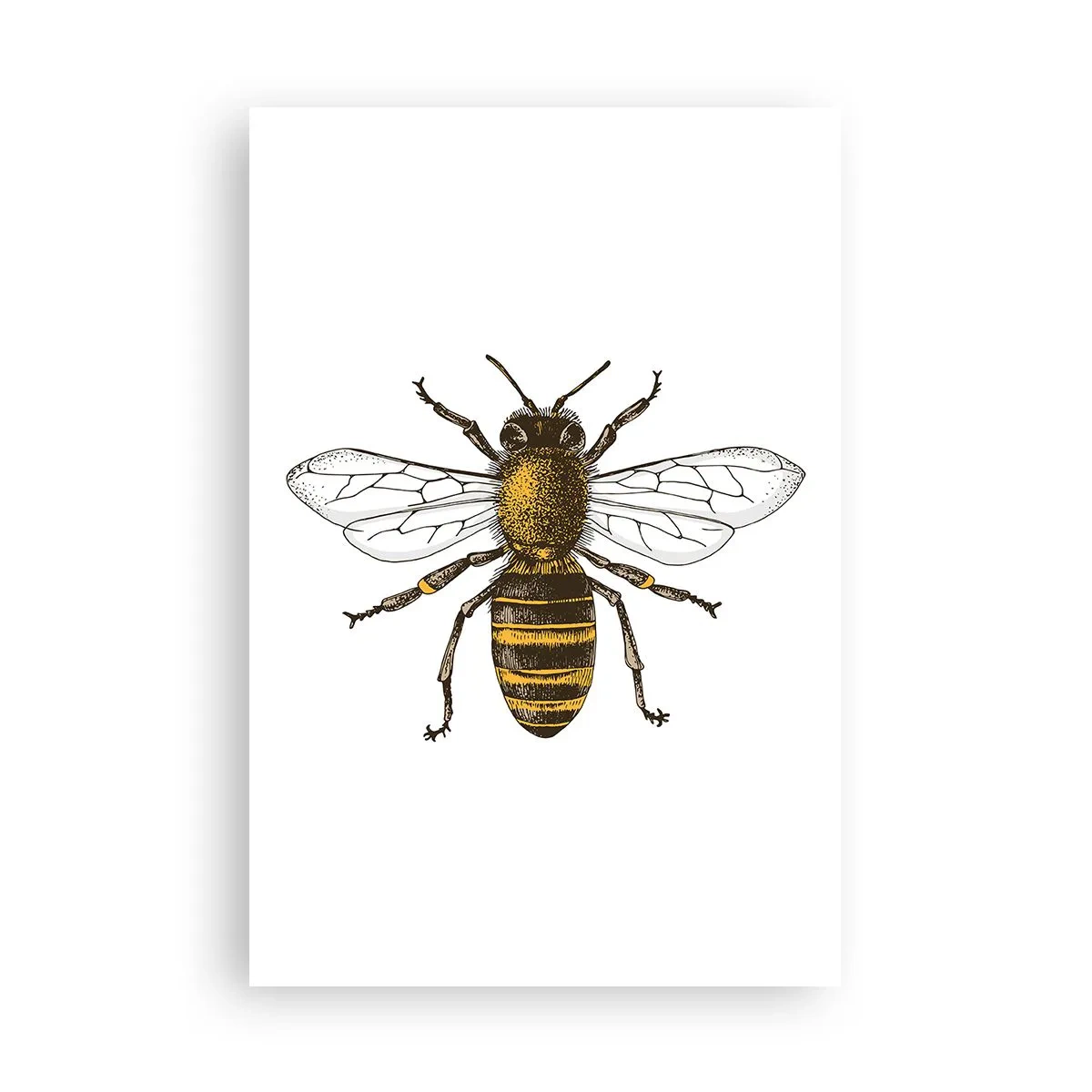 Póster - Bondad natural - 61x91 cm