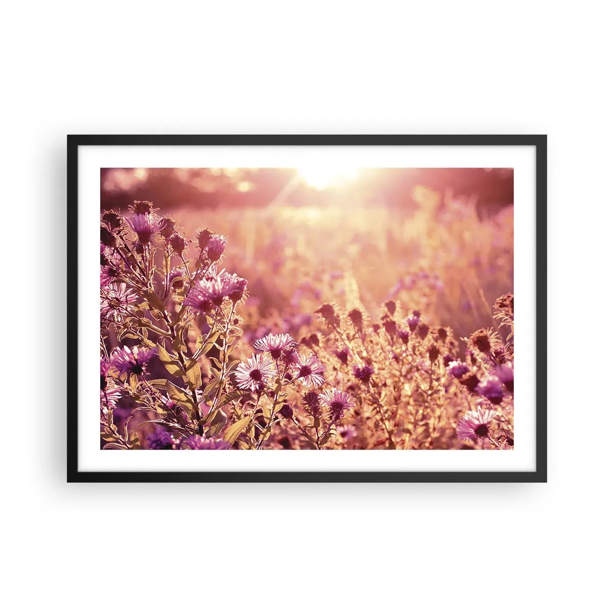 Póster en marco negro - Pradera a la luz del sol poniente - 70x50cm - Antes de que se acabe el verano - Decoración de pared moderna para salón y dormitorio ARTTOR