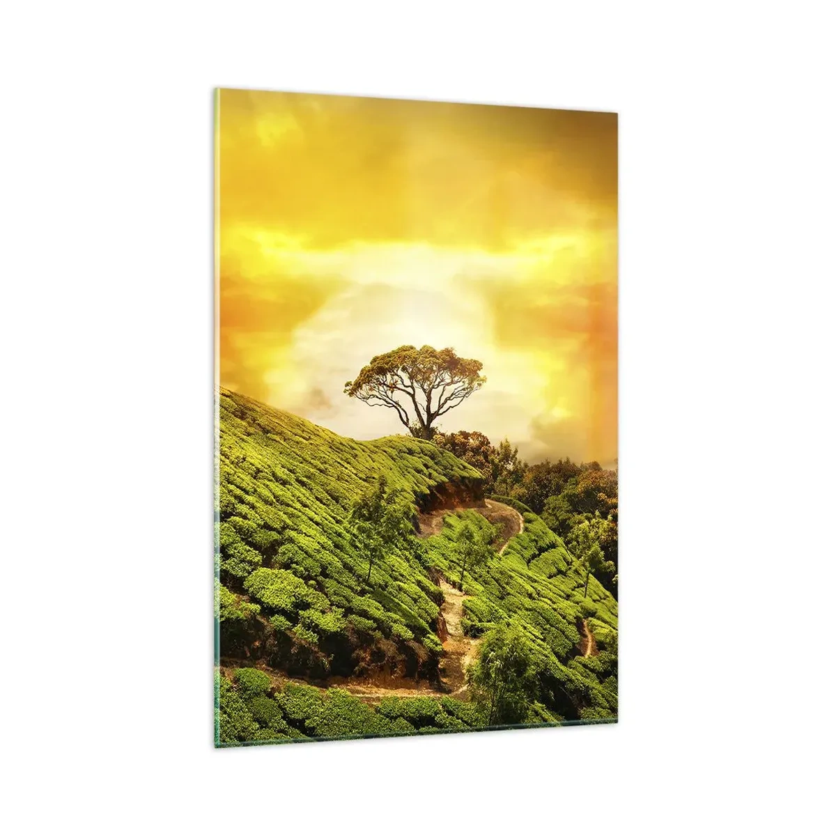 Cuadro sobre vidrio - Impresiones sobre Vidrio - Colinas verdes de plantaciones de té al atardecer - 80x120cm - Por un camino sinuoso, por una verde pendiente - Decoración de pared moderna para salón y dormitorio ARTTOR