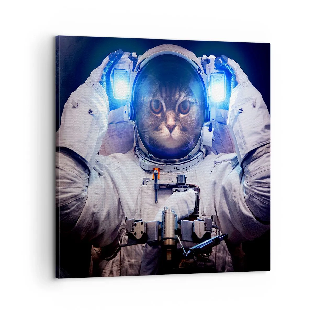 Cuadro sobre lienzo - Impresión de Imagen - Houston, tienes un problema. - 60x60 cm