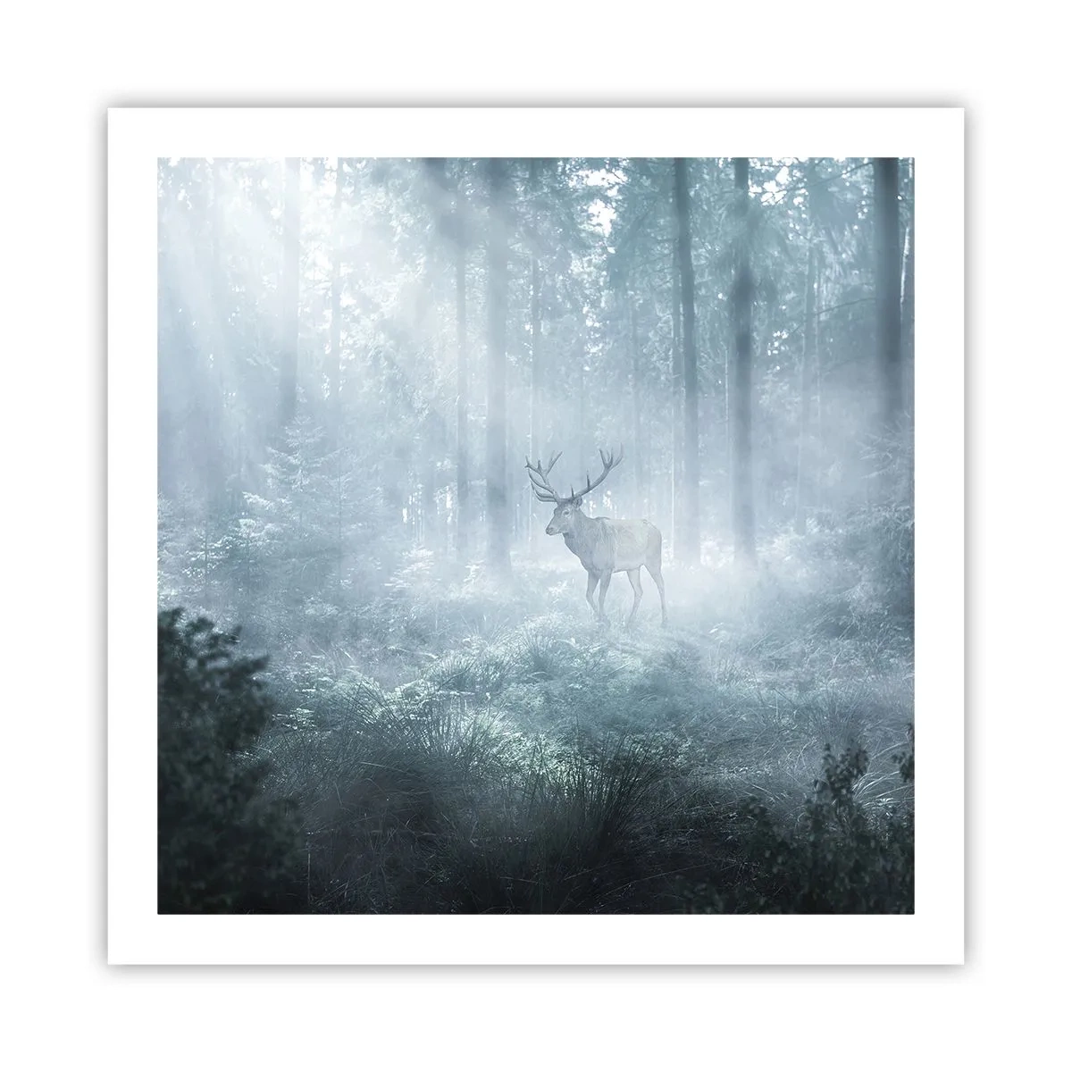 Póster - Ronda matutina por la finca - 60x60 cm