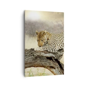 Cuadro sobre lienzo - Impresión de Imagen - Un leopardo descansando en el tronco de un árbol en la sabana. - 80x120cm - Voy por mi cuenta - Decoración de pared moderna para salón y dormitorio ARTTOR