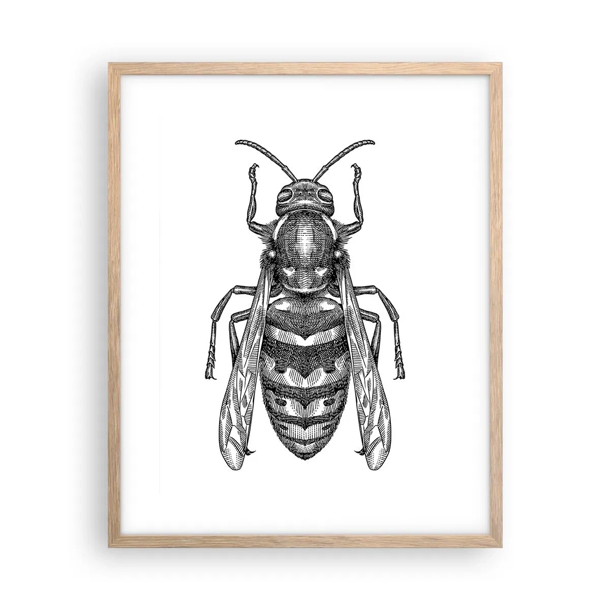 Póster en marco roble claro - Desde un planeta de insectos - 40x50 cm