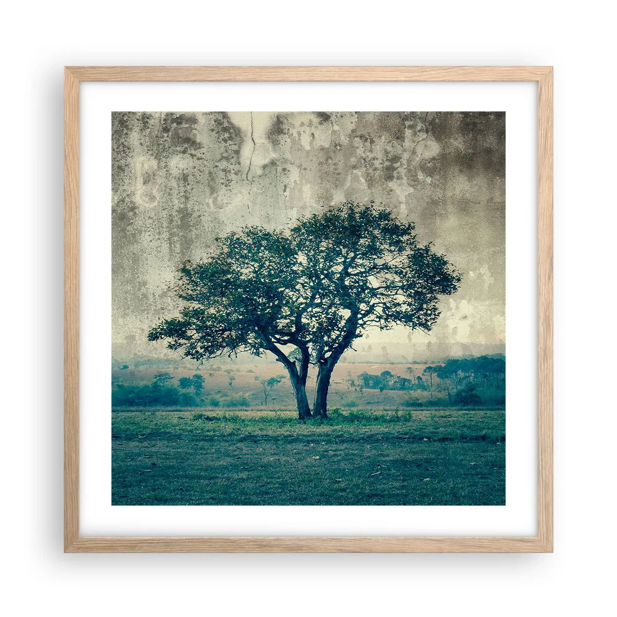 Póster en marco roble claro - El manzano - 50x50 cm