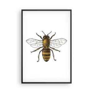 Póster en marco negro - Bondad natural - 61x91 cm