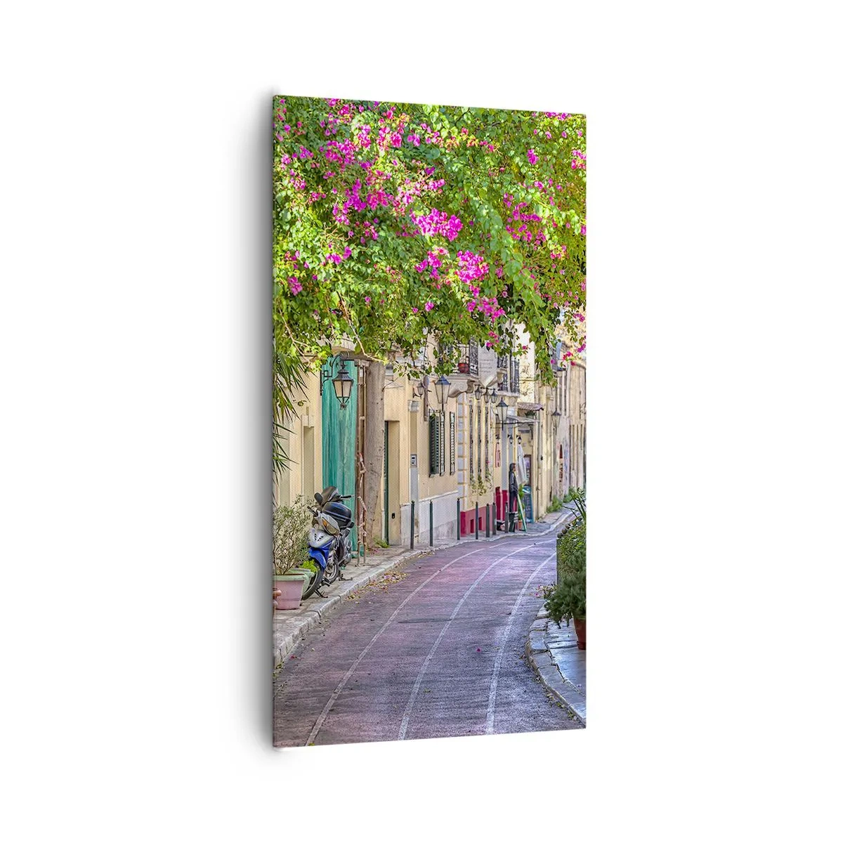 Cuadro sobre lienzo - Impresión de Imagen - Un callejón floreciente - 65x120 cm