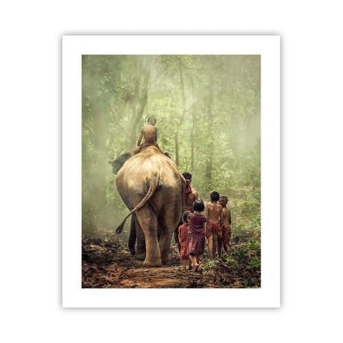 Póster - El nuevo libro de la selva - 40x50 cm