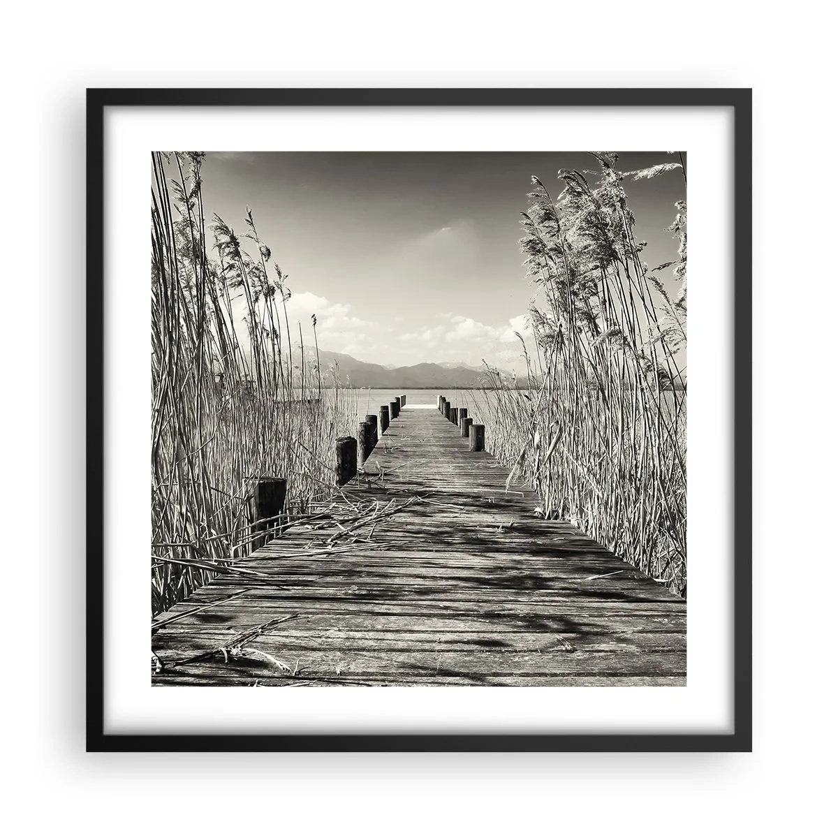 Póster en marco negro - En la quietud de los juncos - 50x50 cm