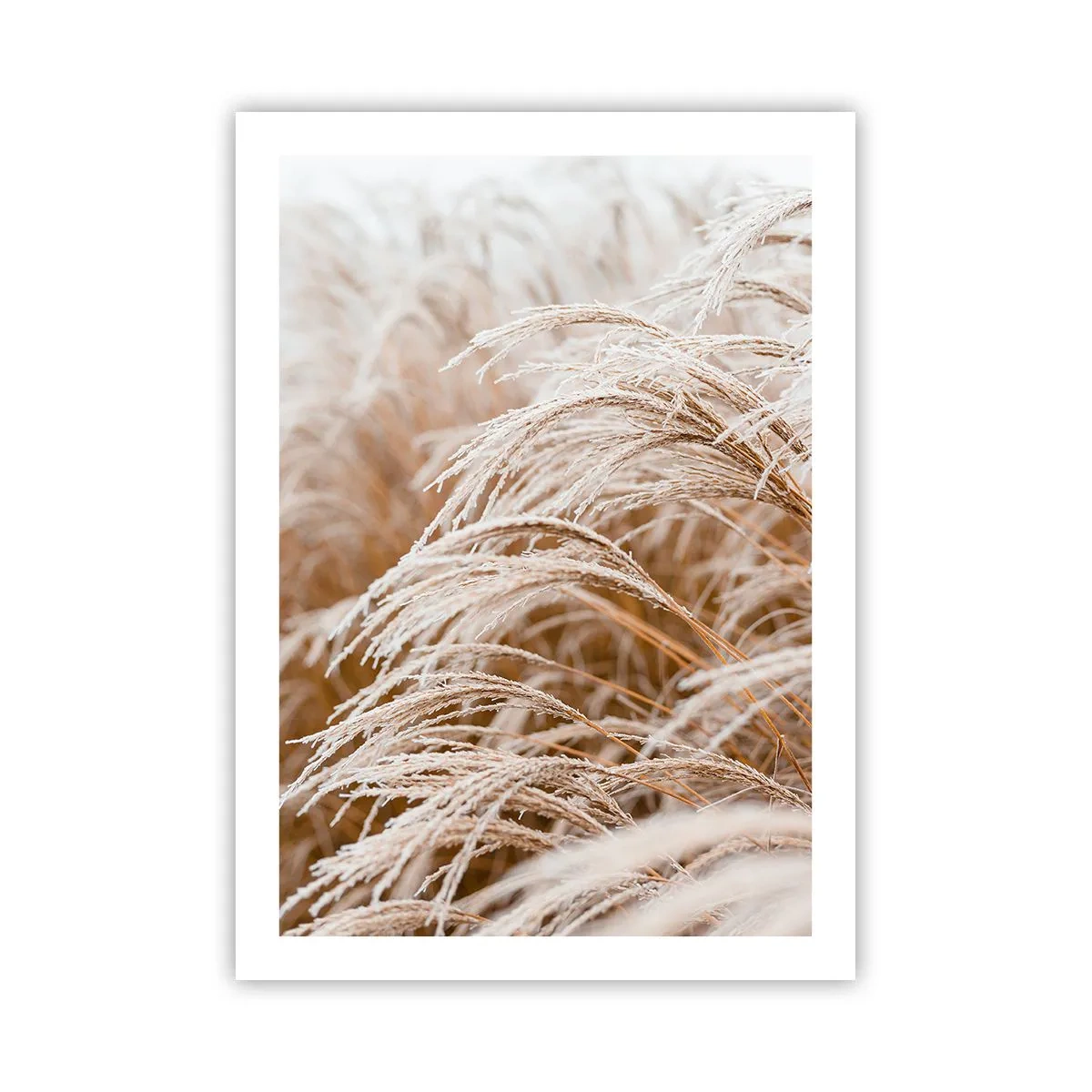 Póster - Primer plano de hierbas heladas en un paisaje invernal - 50x70cm - El sol de otoño - Decoración de pared moderna para salón y dormitorio ARTTOR