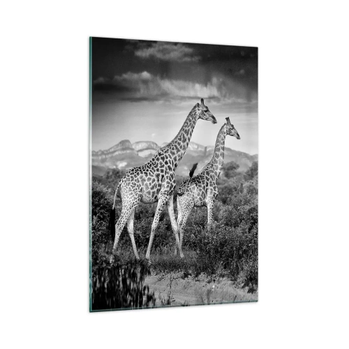 Cuadro sobre vidrio - Impresiones sobre Vidrio - Siluetas en blanco y negro de dos jirafas en la sabana. - 80x120cm - La clase alta de África - Decoración de pared moderna para salón y dormitorio ARTTOR