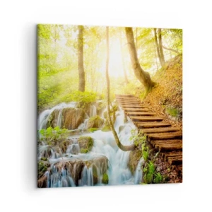 Cuadro sobre lienzo - Impresión de Imagen - El ansiado frescor - 50x50 cm