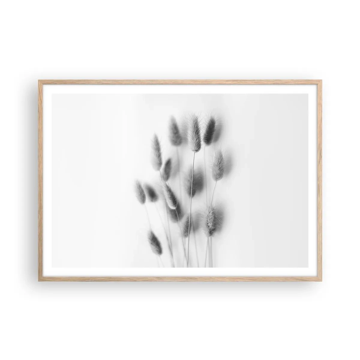 Póster en marco roble claro - Esponjas naturales - 100x70 cm