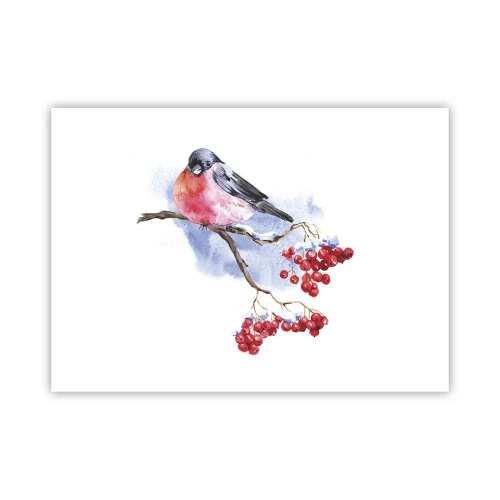 Póster - Invierno en color - 70x50 cm