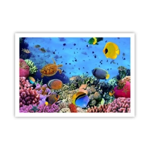 Póster - Arrecife de coral con peces de colores y una tortuga marina. - 100x70cm - Y qué sabemos de la vida... - Decoración de pared moderna para salón y dormitorio ARTTOR
