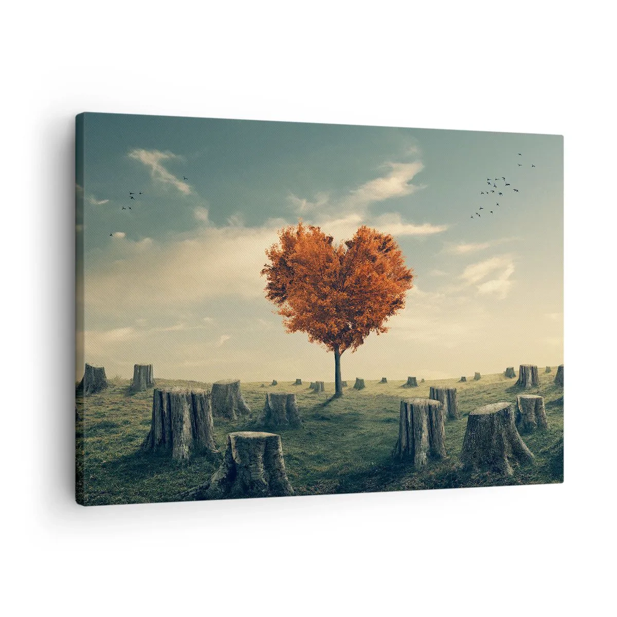 Cuadro sobre lienzo - Impresión de Imagen - Un árbol en forma de corazón en un campo de tocones, símbolo de esperanza. - 70x50cm - Todavía hay esperanza - Decoración de pared moderna para salón y dormitorio ARTTOR