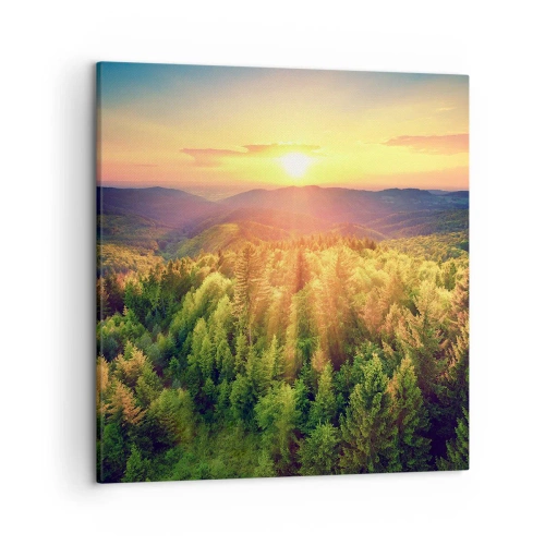 Cuadro sobre lienzo - Impresión de Imagen - Desde lo alto - 50x50 cm