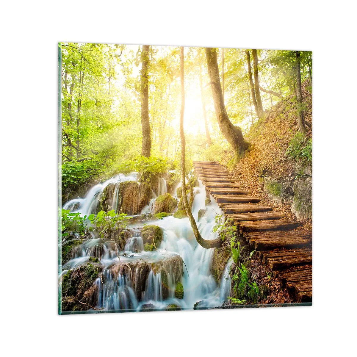 Cuadro sobre vidrio - Impresiones sobre Vidrio - El ansiado frescor - 60x60 cm