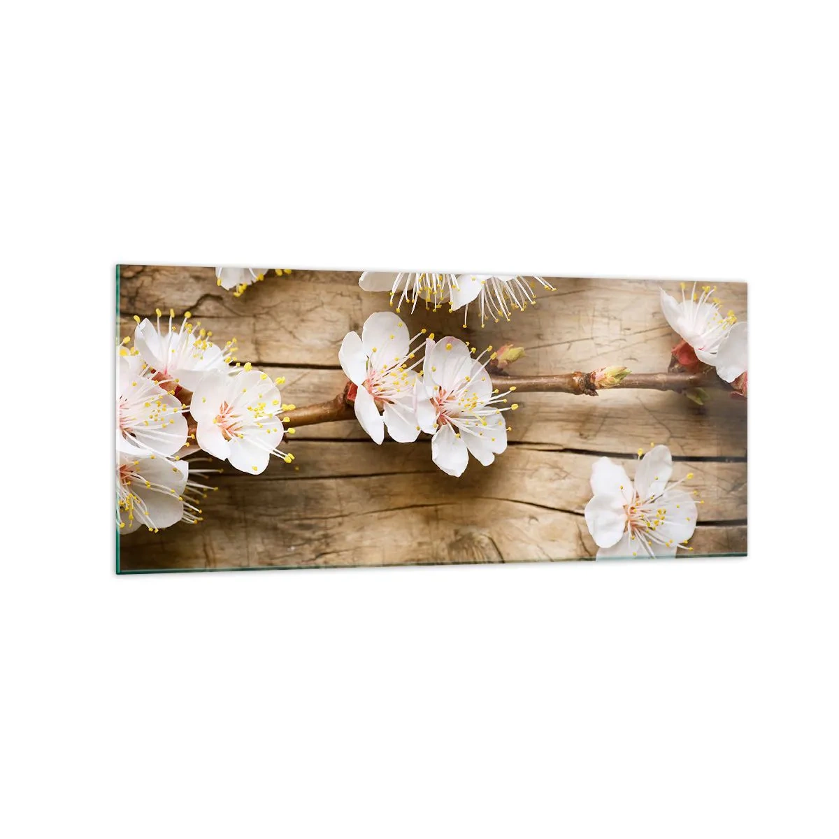 Cuadro sobre vidrio - Impresiones sobre Vidrio - Ramas de cerezos en flor sobre un fondo de tabla de madera - 120x50cm - Se acerca la primavera - Decoración de pared moderna para salón y dormitorio ARTTOR