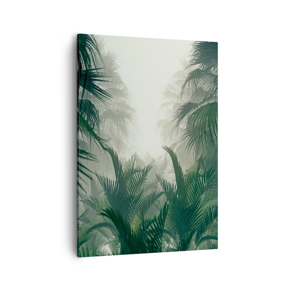 Cuadro sobre lienzo - Impresión de Imagen - Vegetación tropical en la densa niebla de la selva tropical - 50x70cm - Misterio tropical - Decoración de pared moderna para salón y dormitorio ARTTOR