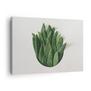 Cuadro sobre lienzo - Impresión de Imagen - Una composición de hojas verdes sobre un fondo claro. - 70x50cm - Curiosidad desenfrenada - Decoración de pared moderna para salón y dormitorio ARTTOR