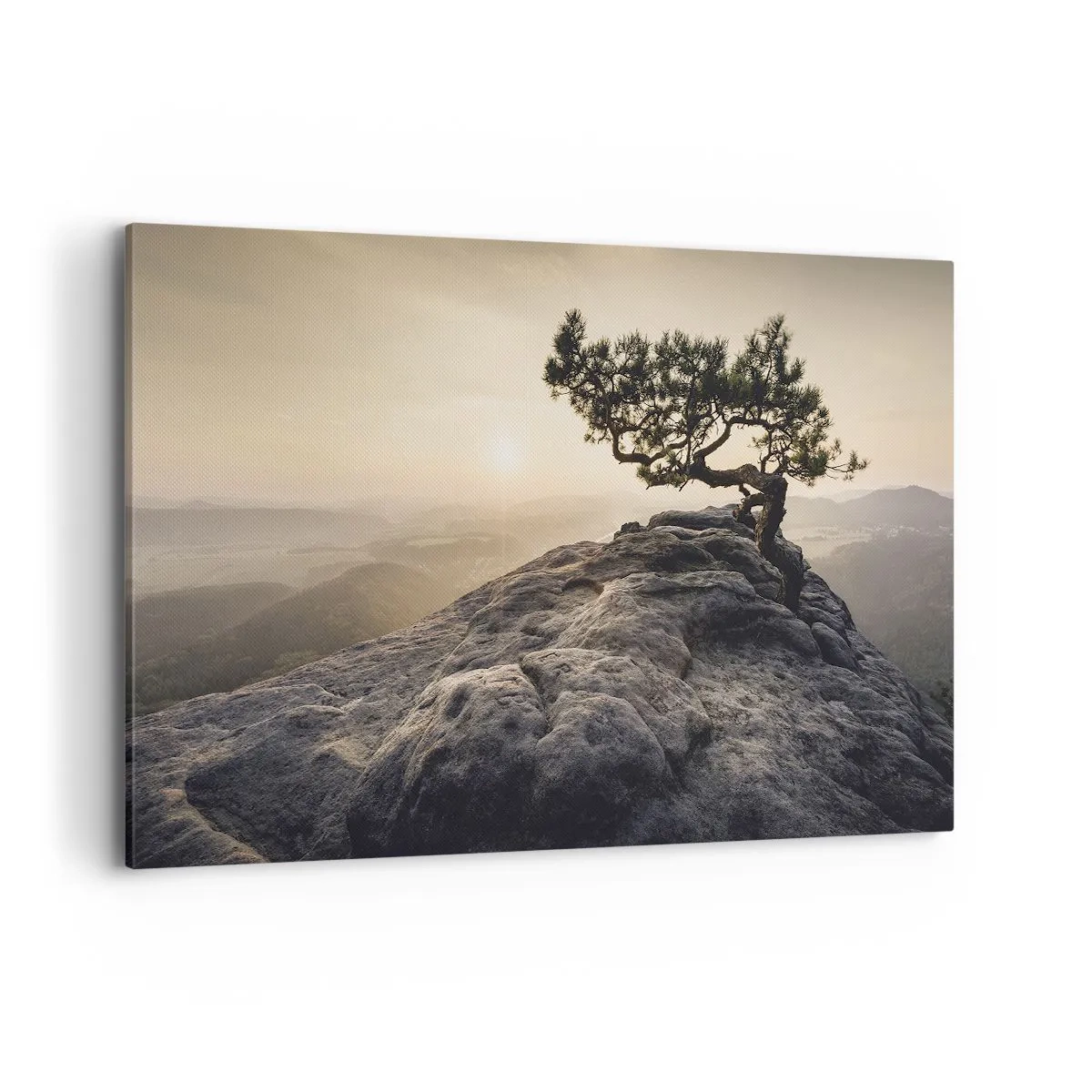 Cuadro sobre lienzo - Impresión de Imagen - Un árbol solitario en un pico rocoso a la luz del sol. - 120x80cm - La vida se abre camino - Decoración de pared moderna para salón y dormitorio ARTTOR