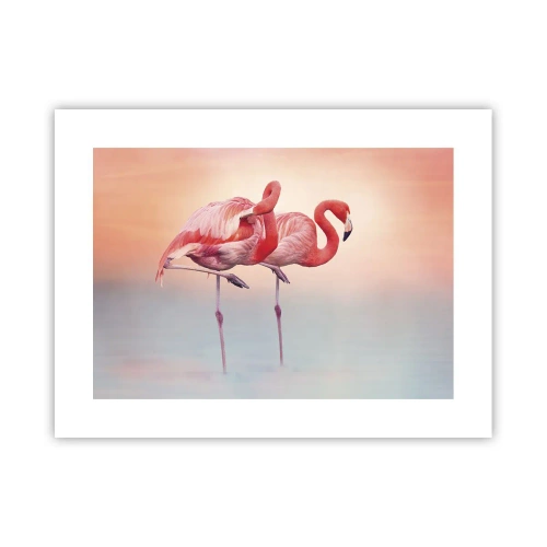 Póster - Elegancia bajo el sol de poniente - 40x30 cm