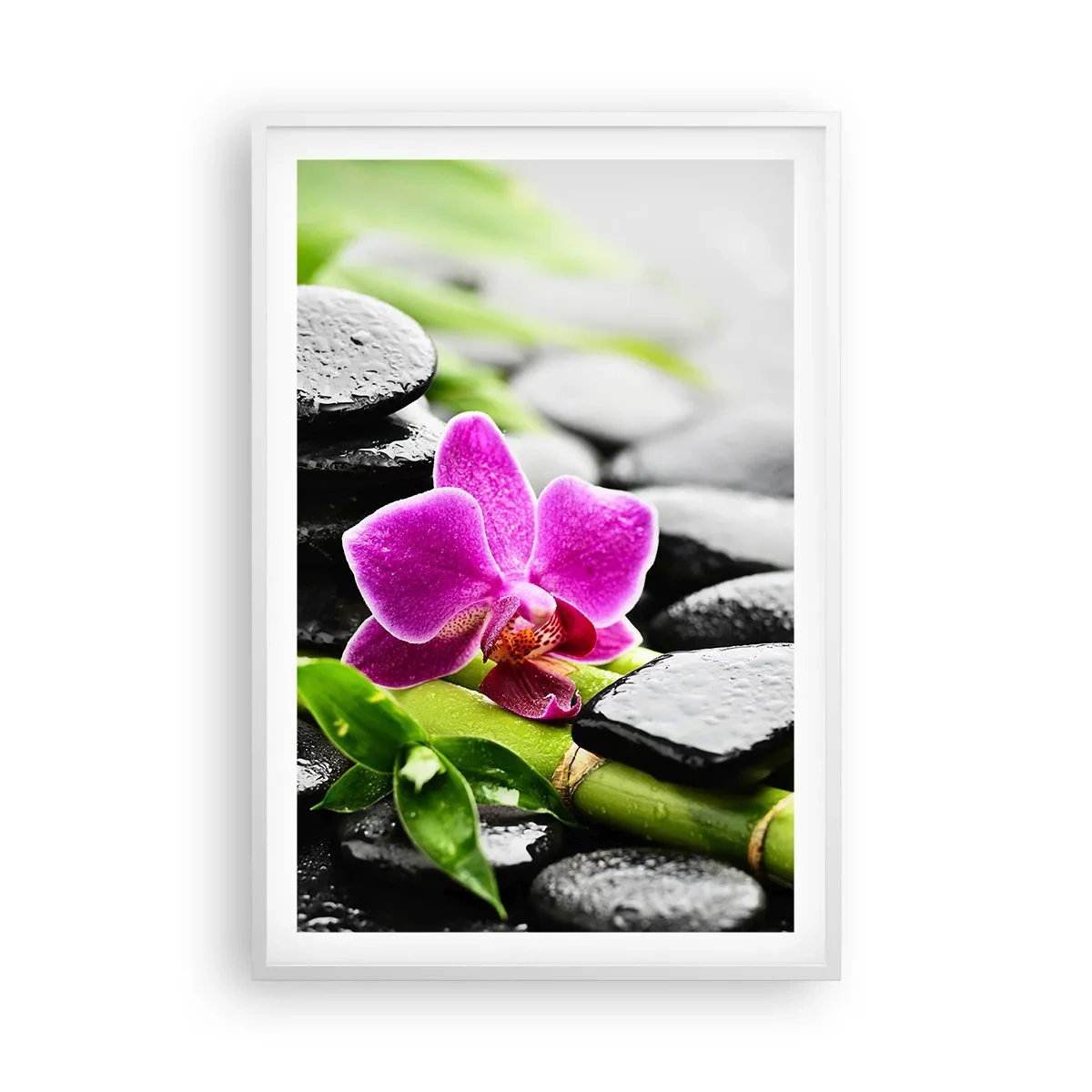 Póster en marco blanco - En equilibrio pacífico - 61x91 cm