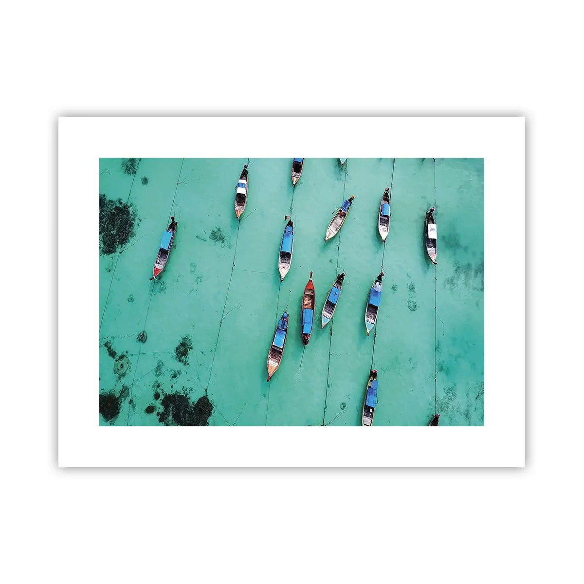 Póster - En alegre espera - 40x30 cm