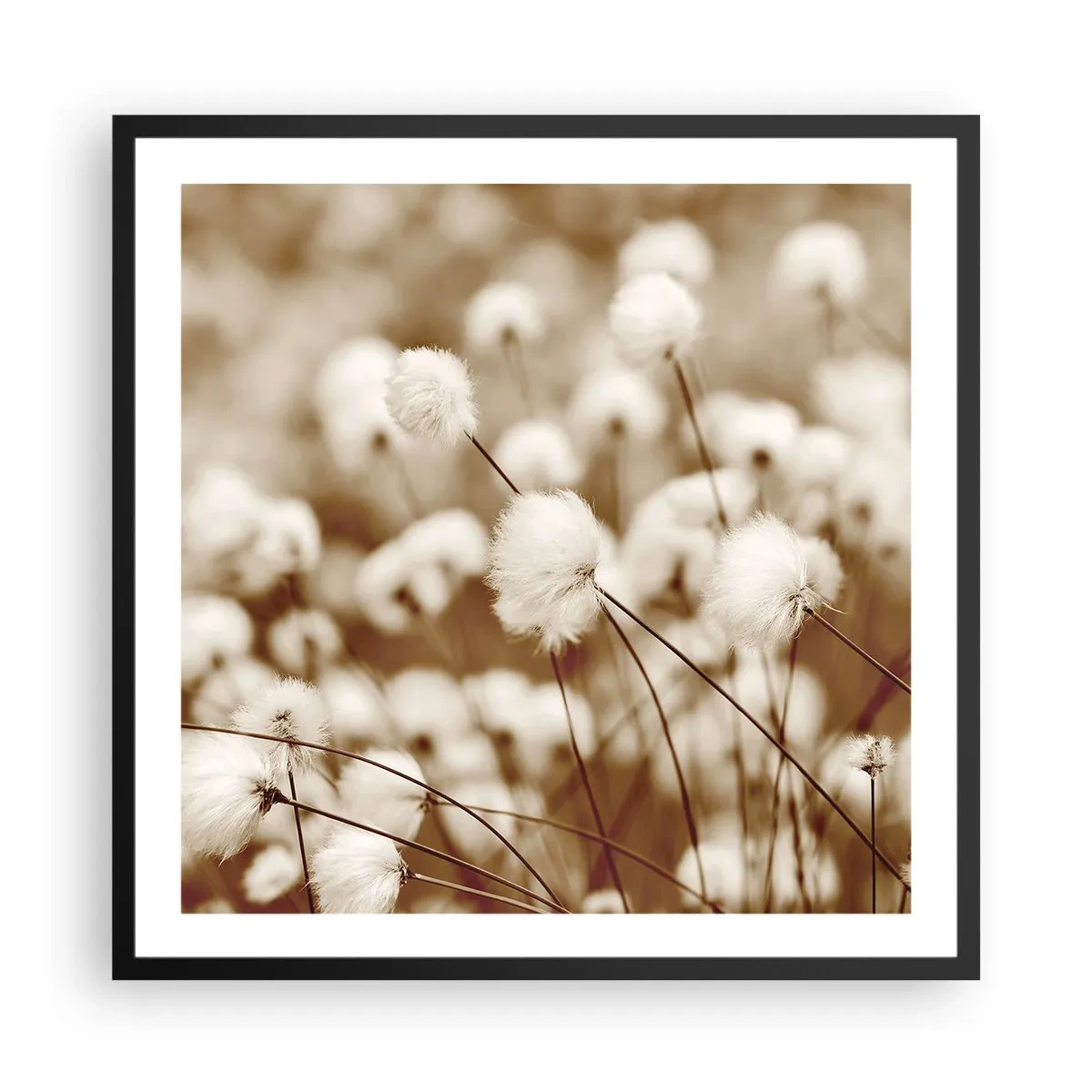 Póster en marco negro - Un mullido colchón - 60x60 cm