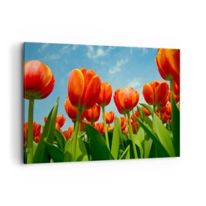 Cuadro sobre lienzo - Impresión de Imagen - Un campo de tulipanes rojos y naranjas contra un cielo azul. - 120x80cm - Excepto el cielo azul no necesitan nada en la vida - Decoración de pared moderna para salón y dormitorio ARTTOR