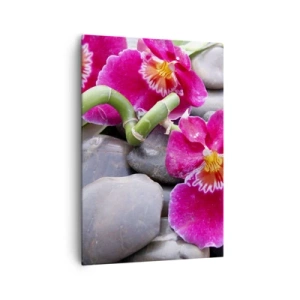 Cuadro sobre lienzo - Impresión de Imagen - Orquídeas rosas sobre un fondo de piedras lisas. - 70x100cm - Frío y calor - Decoración de pared moderna para salón y dormitorio ARTTOR
