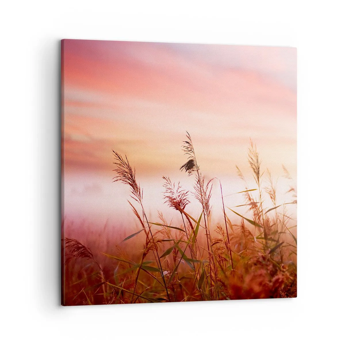Cuadro sobre lienzo - Impresión de Imagen - El arte del viento - 50x50 cm