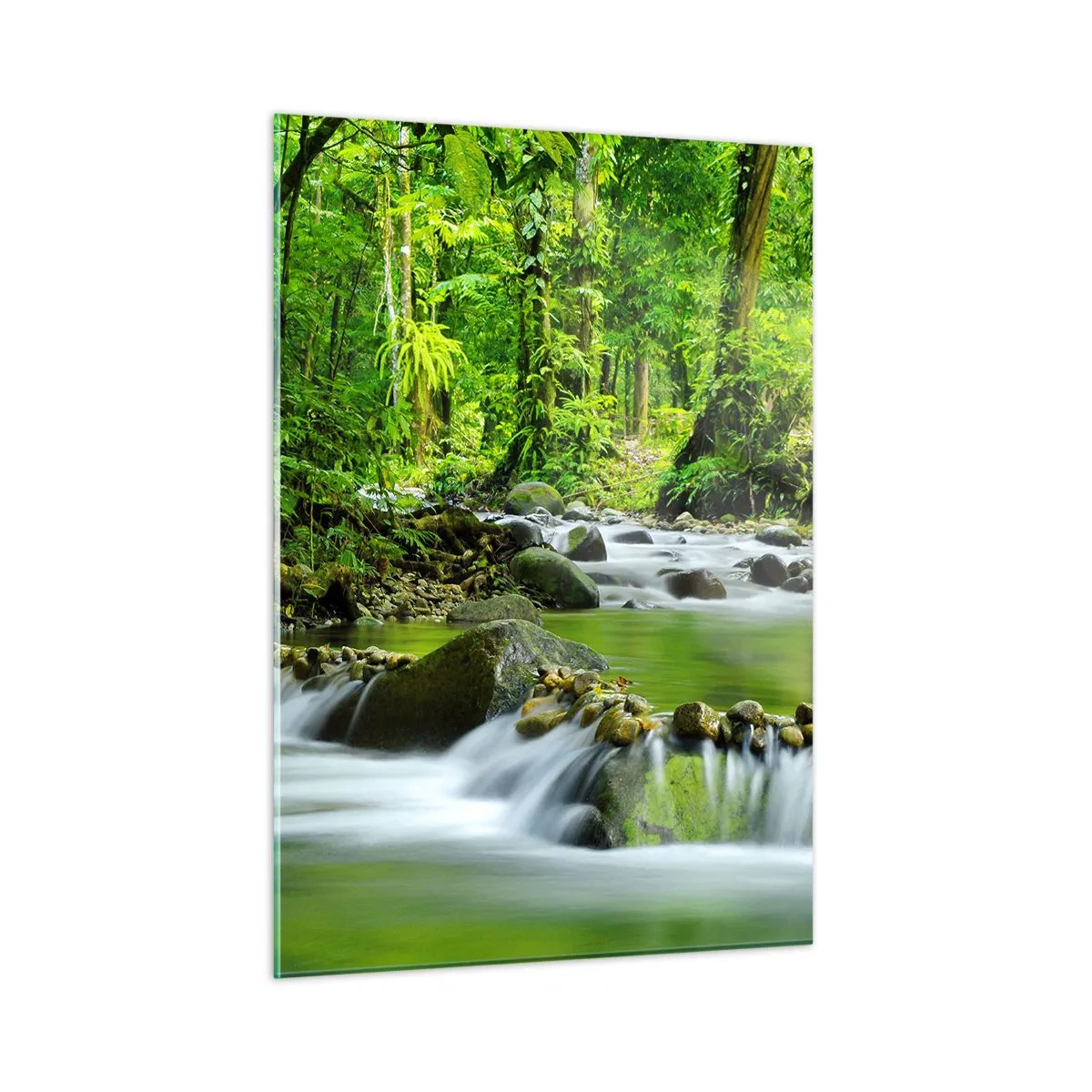 Cuadro sobre vidrio - Impresiones sobre Vidrio - Un arroyo forestal rodeado de exuberante vegetación. - 50x70cm - Flotar en un mar de verde - Decoración de pared moderna para salón y dormitorio ARTTOR