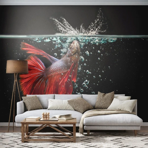 Fotomural Premium Canvas - Un magnífico betta en el agua sobre un fondo oscuro. - 100x70cm - Tienes tres deseos - Decoración de pared moderna para salón y dormitorio ARTTOR