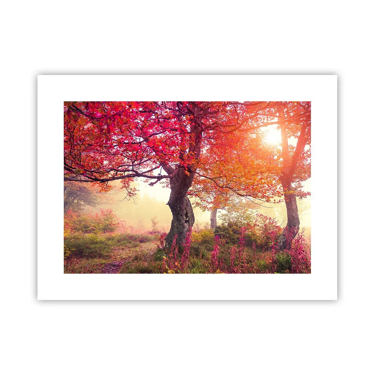 Póster - Un frenesí de floración - 40x30 cm