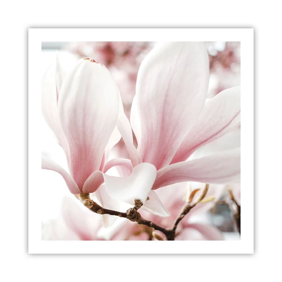 Póster - Inmensidad de la ternura - 60x60 cm