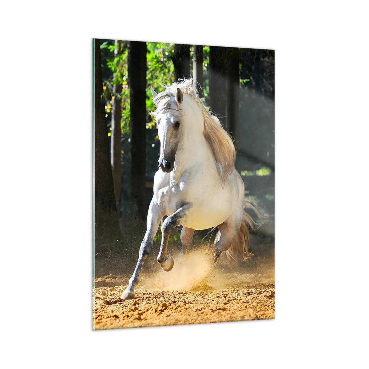 Cuadro sobre vidrio - Impresiones sobre Vidrio - Un caballo blanco galopa sobre terreno arenoso en el bosque. - 50x70cm - Como en una novela de fantasía - Decoración de pared moderna para salón y dormitorio ARTTOR