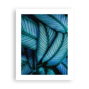 Póster - Líneas de vida - 40x50 cm