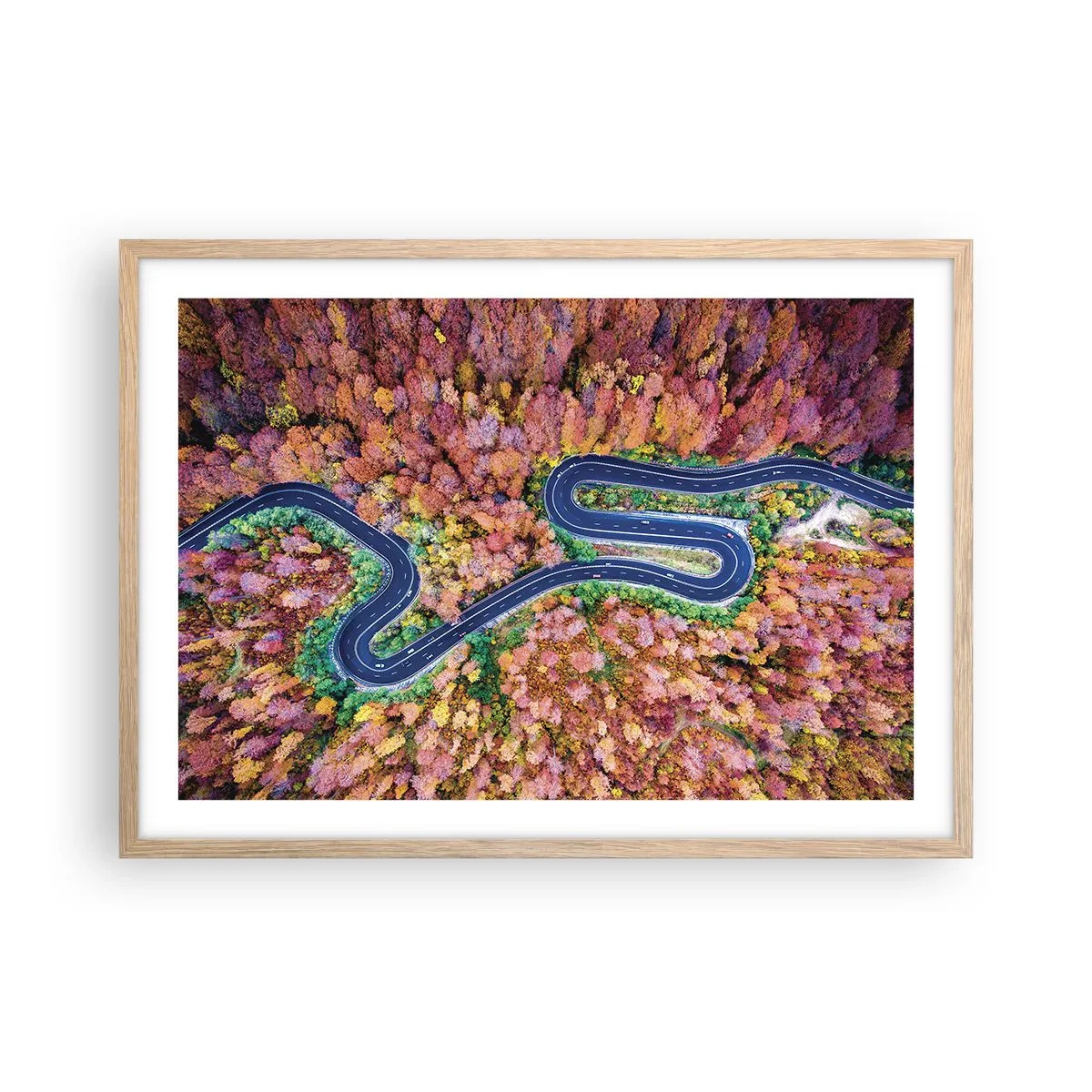 Póster en marco roble claro - Un camino sinuoso a través del bosque - 70x50 cm