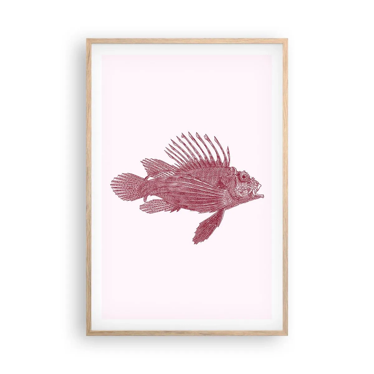 Póster en marco roble claro - Un habitante de aguas exóticas - 61x91 cm