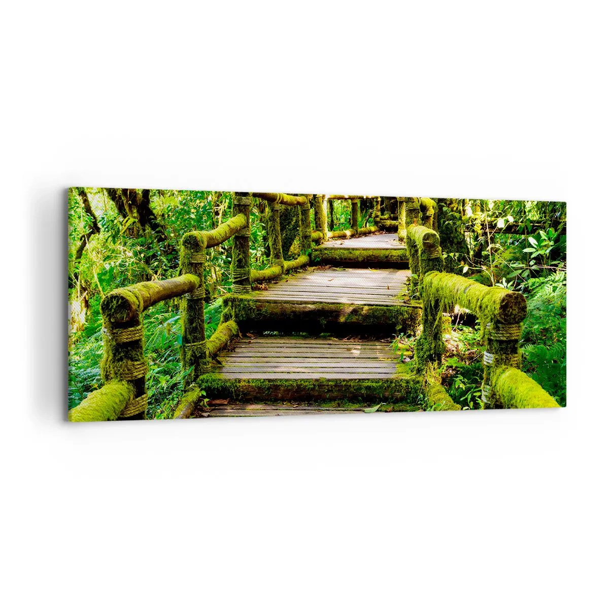 Cuadro sobre lienzo - Impresión de Imagen - Un puente de madera cubierto de musgo en una selva tropical. - 120x50cm - A través de un corredor verde - Decoración de pared moderna para salón y dormitorio ARTTOR