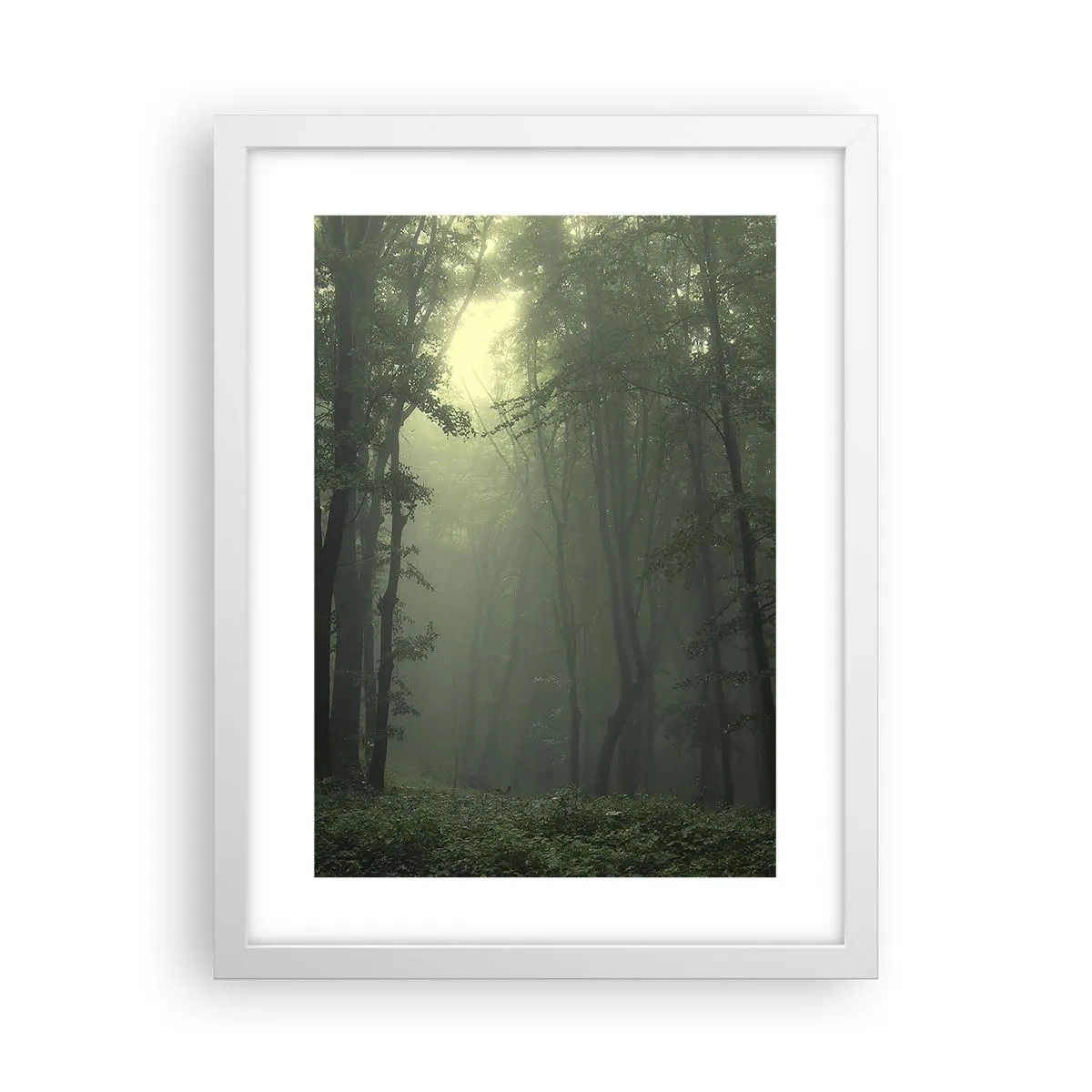 Póster en marco blanco - Antes de que se despierte el bosque - 30x40 cm