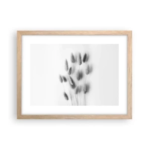 Póster en marco roble claro - Esponjas naturales - 40x30 cm