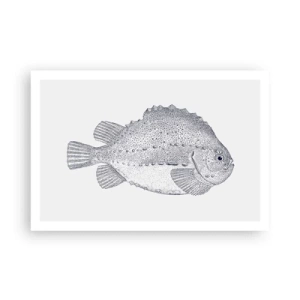 Póster - Para el álbum del naturalista - 91x61 cm