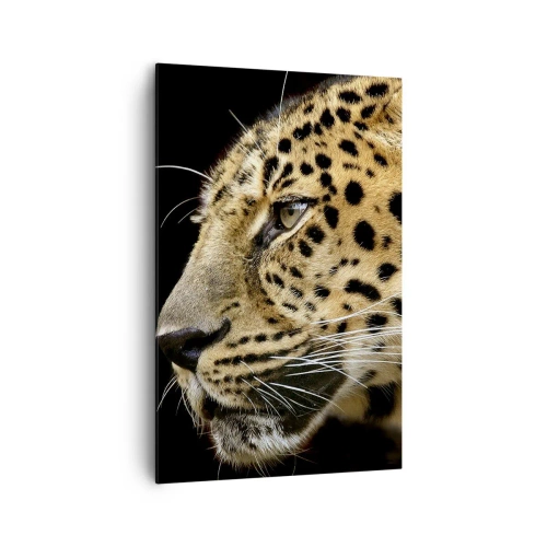 Cuadro sobre lienzo - Impresión de Imagen - Primer plano de la cabeza de un leopardo sobre un fondo negro - 80x120cm - Tranquilo, concentrado, preparado - Decoración de pared moderna para salón y dormitorio ARTTOR