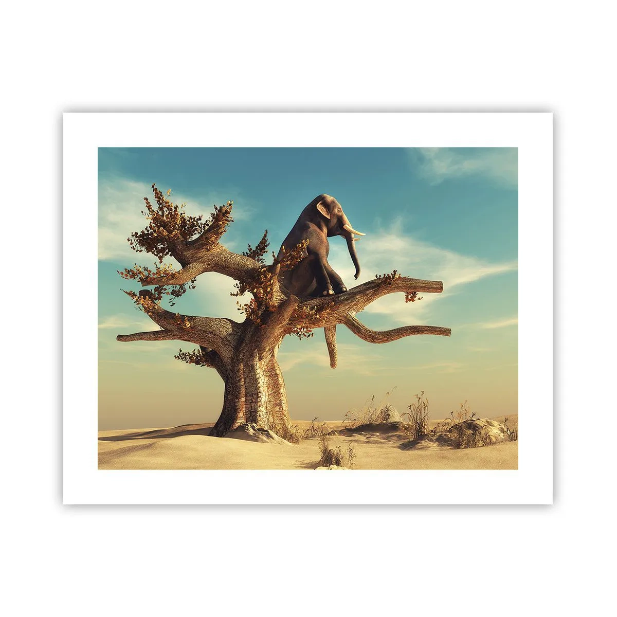 Póster - Un nuevo punto de vista - 50x40 cm