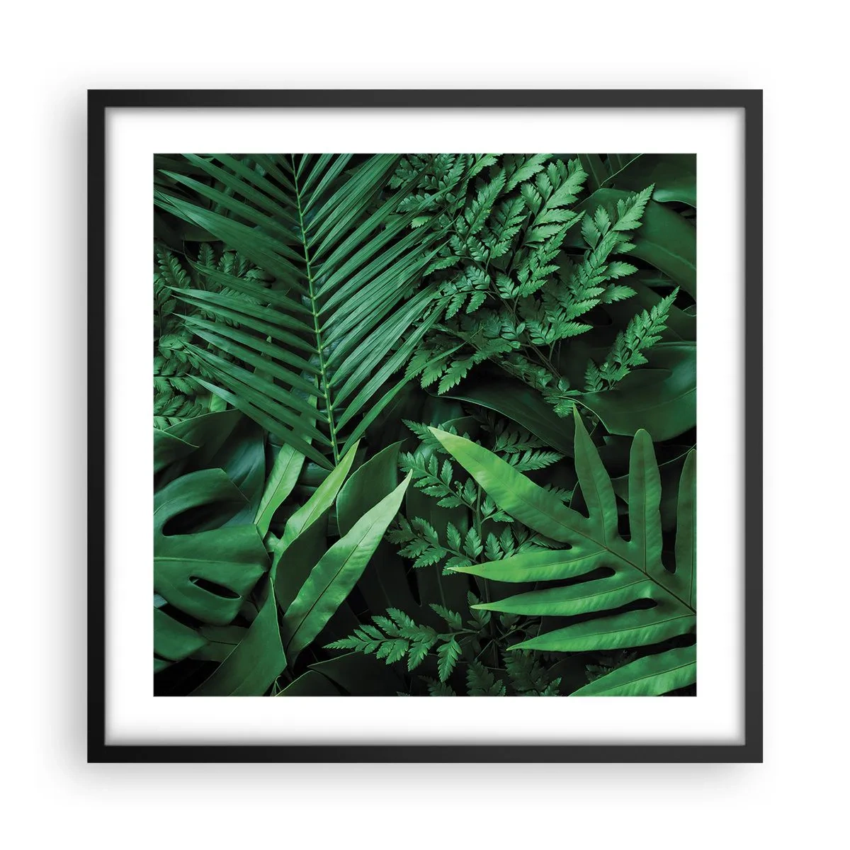 Póster en marco negro - Abrazo verde - 50x50 cm