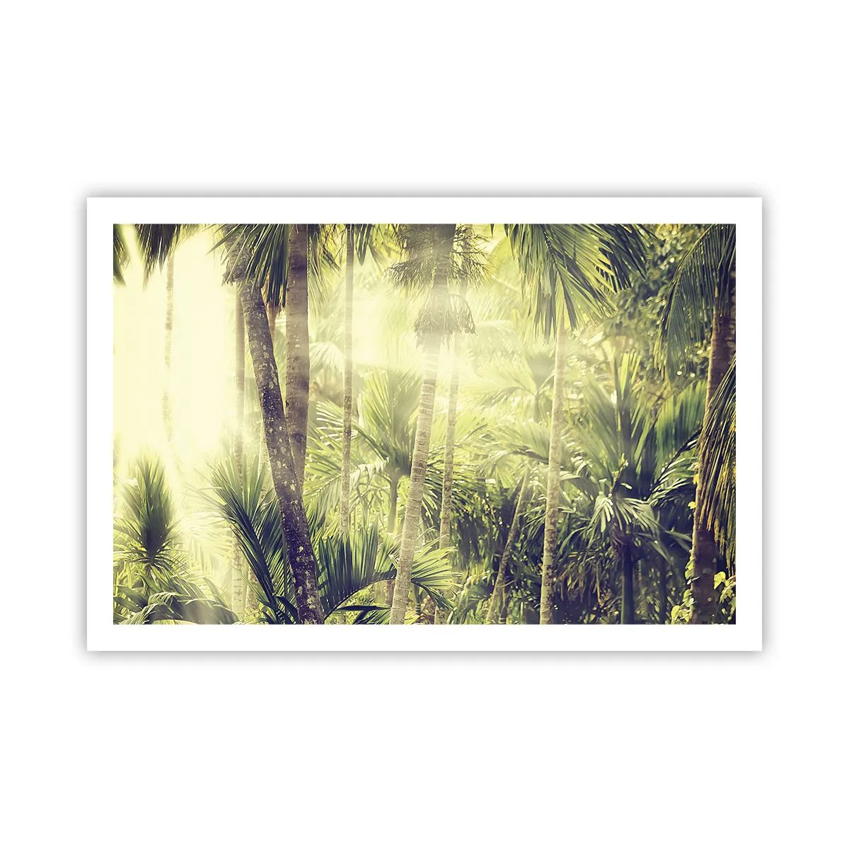 Póster - En el cálido verde - 91x61 cm