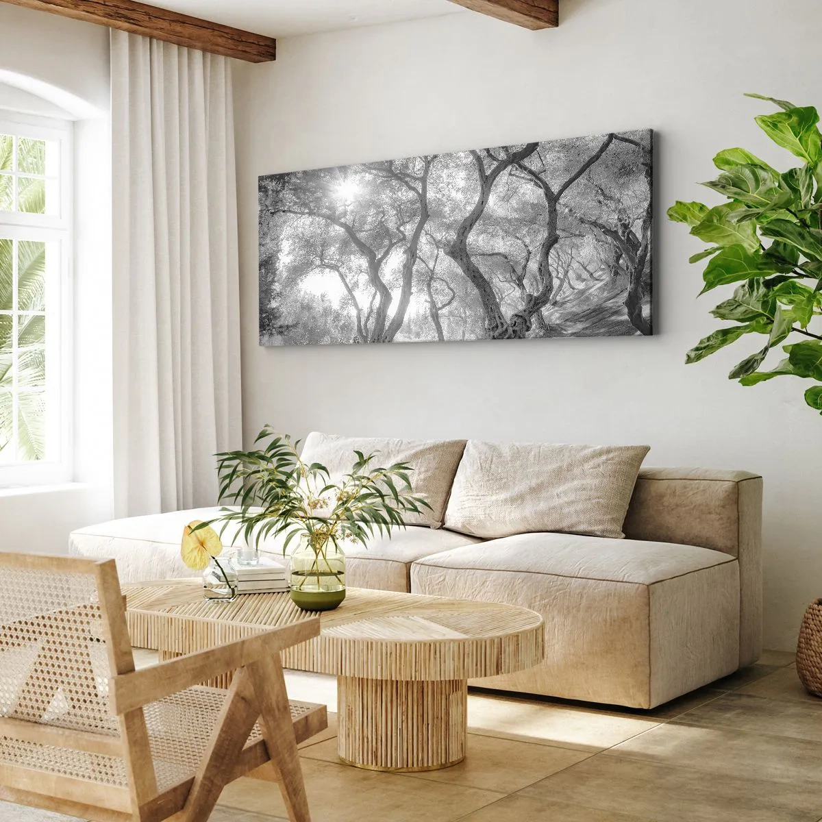 Cuadro sobre lienzo - Impresión de Imagen - Vista en blanco y negro de árboles en un olivar con rayos de sol. - 140x50cm - En un olivar - Decoración de pared moderna para salón y dormitorio ARTTOR